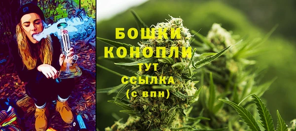 PSILOCYBIN Пролетарск