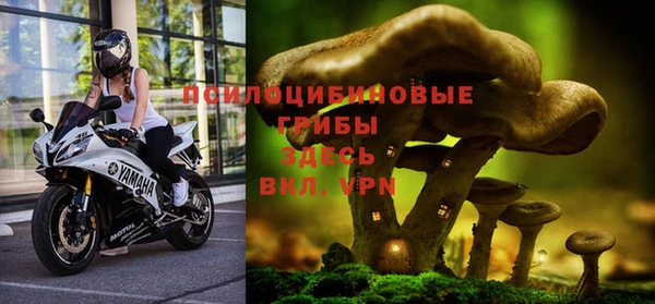 первитин Покачи