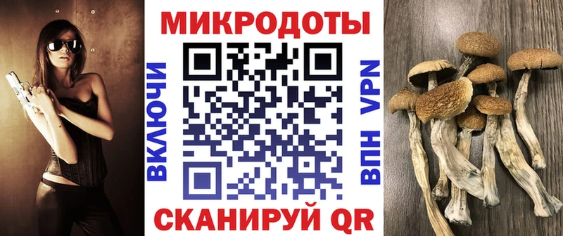 Псилоцибиновые грибы GOLDEN TEACHER  Кремёнки 